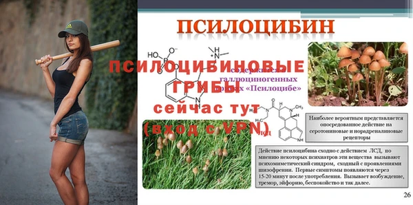 ECSTASY Осинники