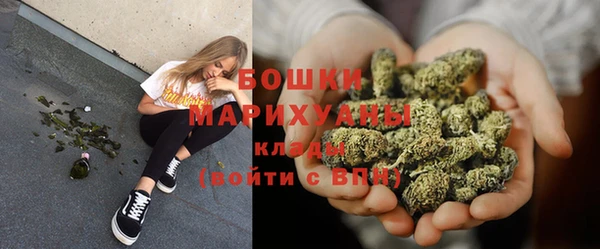 мдпв Осташков
